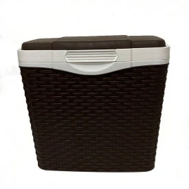 Geanta frigorifica volum 25 L Rattan